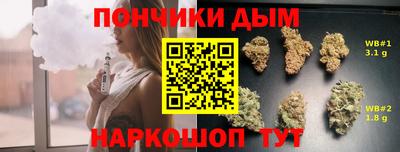 амф Можга