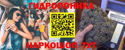 амф Можга